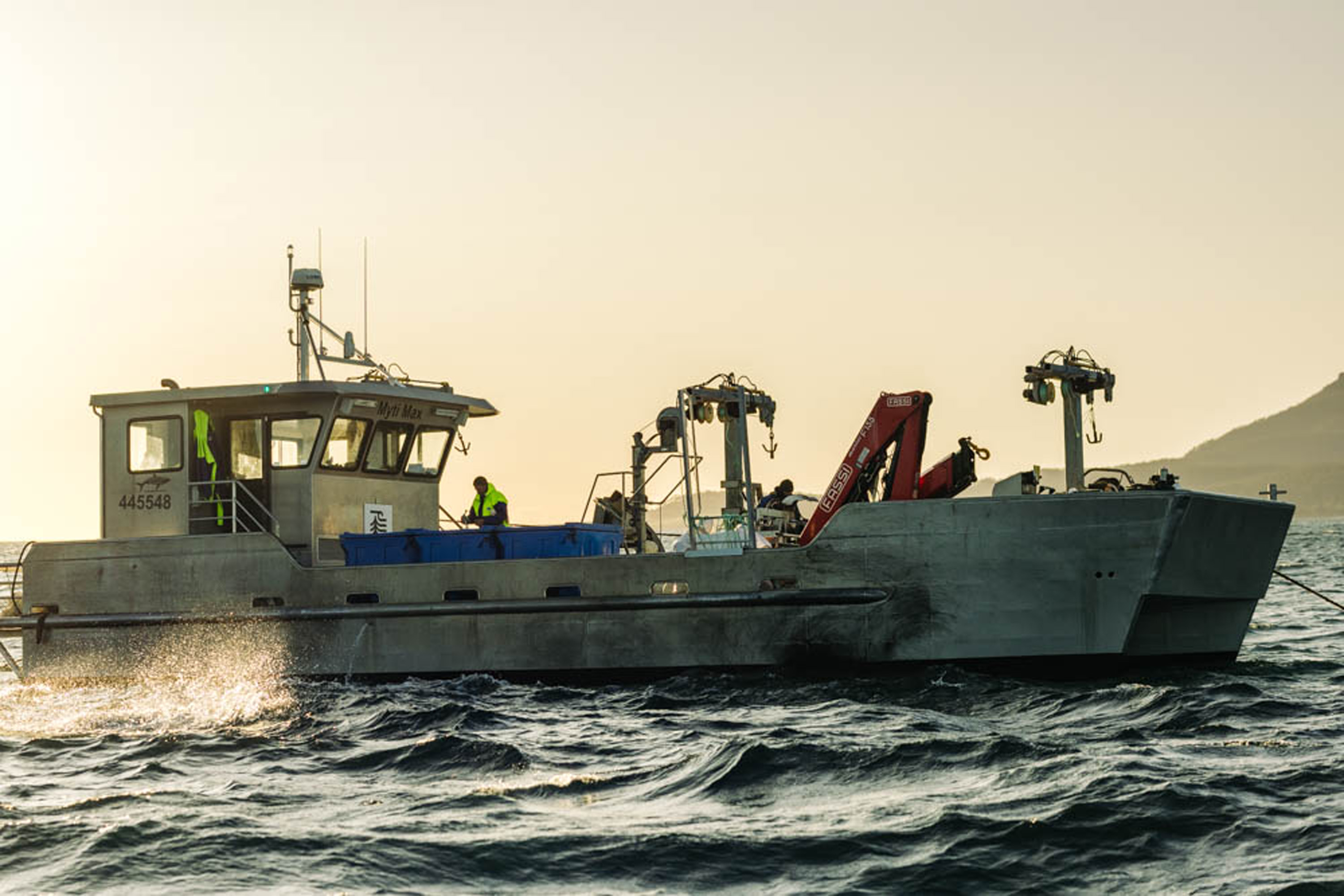 Sea Forest X 4 Pines